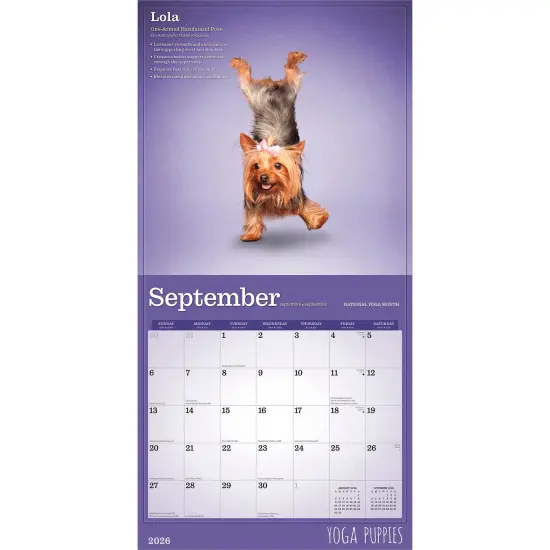 Yoga Puppies OFFICIAL | 2026 12 x 24 Inch (Hanging) Monthly Square Wall Calendar {4}