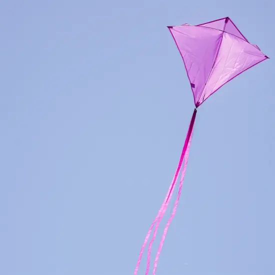 In the Breeze 3295 - Grape 30 Inch Diamond Kite - Solid Purple, Fun, Easy Flying Kite {2}