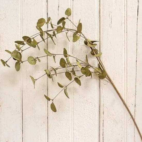 Penny Leaf Spray Green {1}