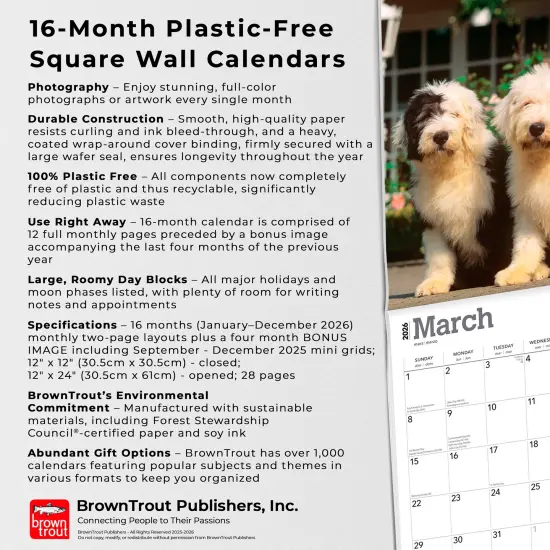 Old English Sheepdogs | 2026 12 x 24 Inch (Hanging) Monthly Square Wall Calendar | Plastic-Free {6}
