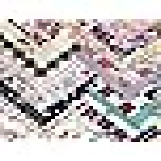 Fabric Squares Sheets Patchwork Craft Cotton Quilting Fabric {4}