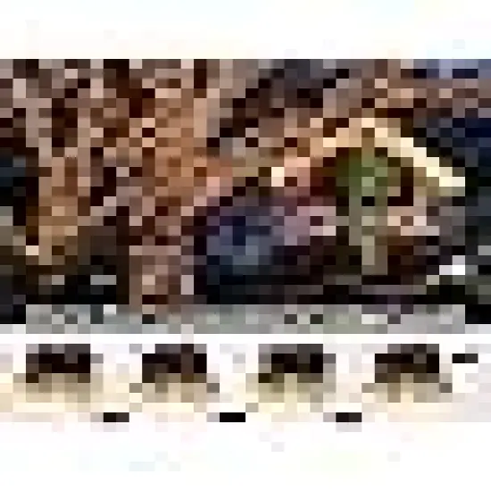 Clear Christmas Lights {4}