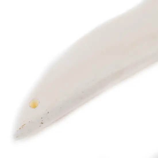 The Bead Chest Wing-Shaped White Bone Pendant (110mm) {4}