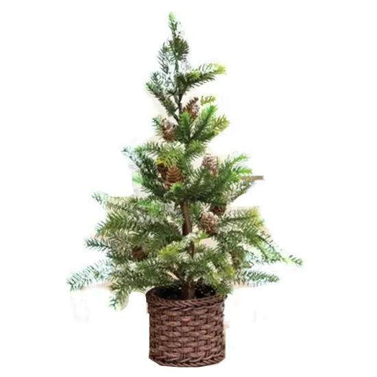 Snowy Cypress Tree In Willow Basket 18" {1}
