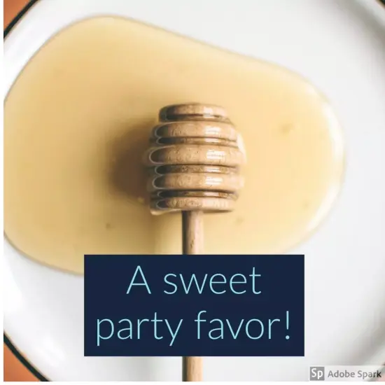 Kitcheniva 4" Wood Honey Dippers Miniature Honey Dipper Party Favor Crafts {3}