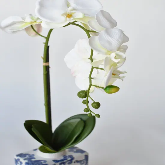 22" Faux Phalaenopsis Orchid in Blue/White Container - 1OR {1}
