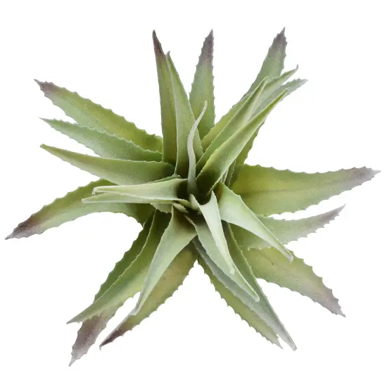 Artificial Succulent Large Green Aloe Elgonica Succulent Pick by Succulent Superstore, 1 pcs {3}