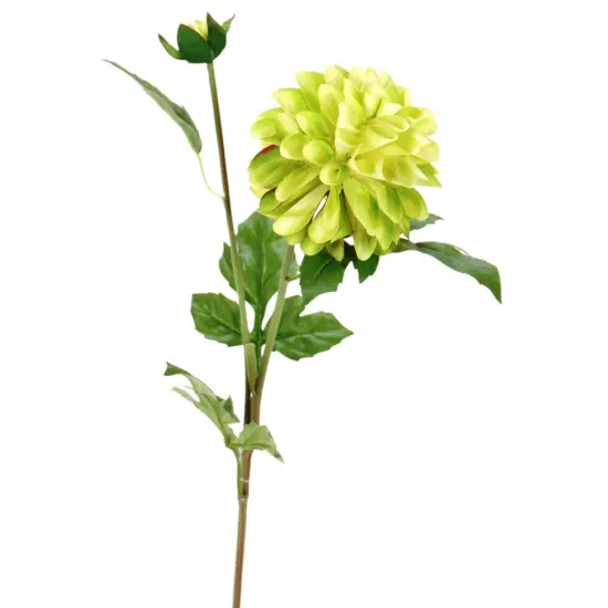 25" Artificial Green Dahlia Stem with Bud - Faux Flower for Arrangements & Home Decor-277341 {1}
