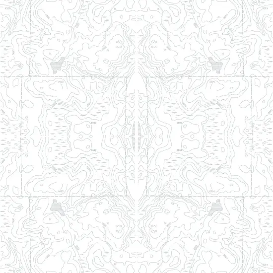 Topographic Map Gift Wrap XIV {2}