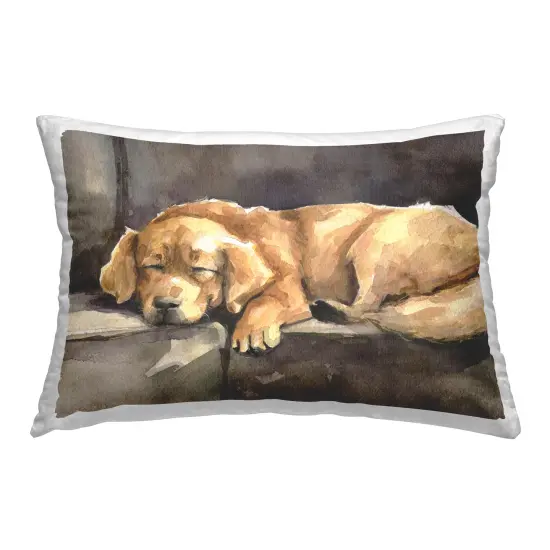 Sleeping Golden Retriever Decorative Printed Throw Pillow Design by George Dyachenko, 14 x 7 x 20 {1}