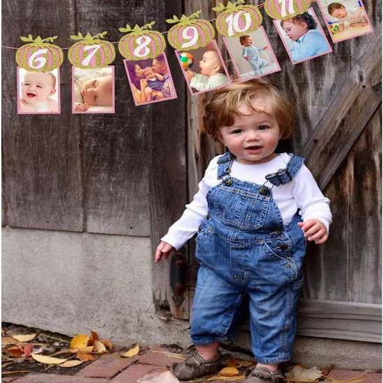 Pumpkin 1st Birthday Photo Banner, Glitter Pumpkin -12 Month Photo Display for Pumpkin {3}