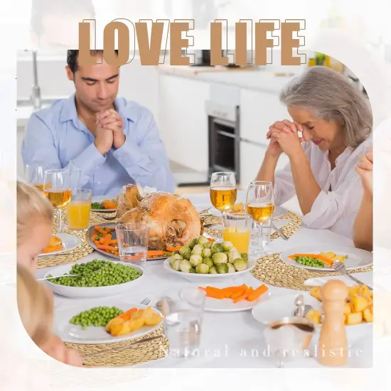 100 Pcs Disposable Printed Woven Paper Placemats Bulk 11 Inch Round Wicker Printed Chargers Place Mat Farmhouse Braided Rattan Tablemats {4}