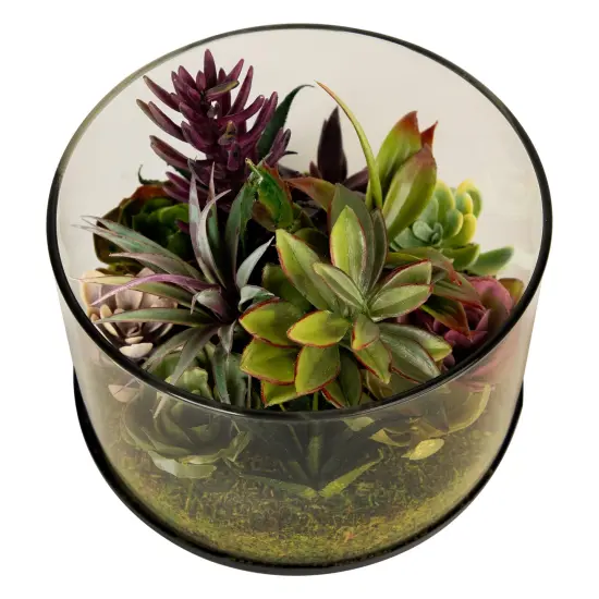 Northlight Mixed Succulent Artificial Arrangement in Round Glass Jar - 8" Green {7}