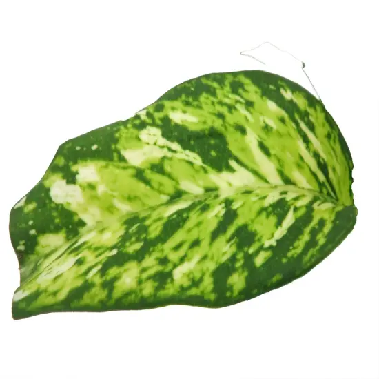 Starbright Dieffenbachia Plant-4" Pot {4}