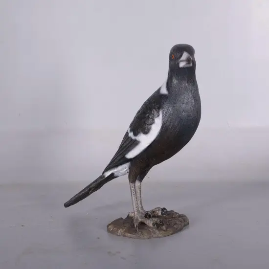 Magpie Crow Life Size Statue {6}