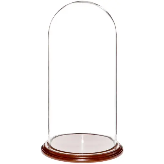 Plymor 9.75" x 20" Glass Display Dome Cloche Walnut Veneer {1}