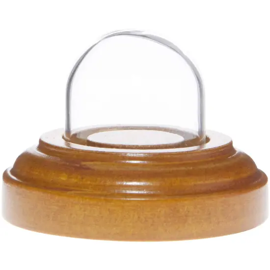 Plymor Miniature 1" x 1" Mini Glass Display Dome TINY Cloche Oak Veneer {1}