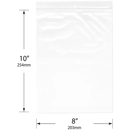 Plymor 8" x 10", 2 Mil with Hang-Hole Zipper Reclosable Plastic Bags {3}