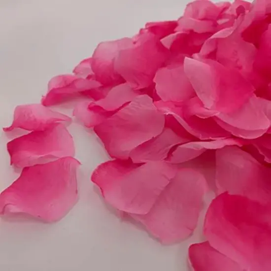 Separated Gradient Pink Rose Petals,1520 Pcs Fake Rose Petals,Valentines Day Rose Petals,Fake Flower Petals for Weddings {1}