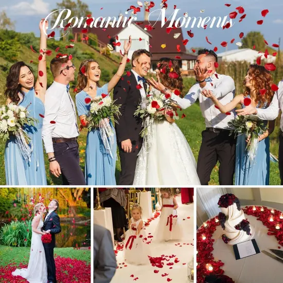 Dried Rose Petals Wedding Biodegradable Petals, Natural Preservation Real Flower Petals {5}