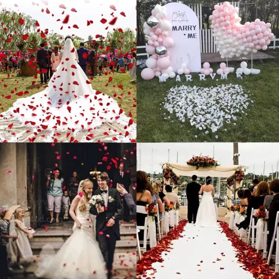 1000 PCS Separated Artificial Champagne Rose Petals for Romantic Night for her Set,Faux Champagne Flower Petals for Flower Girl Weddings {4}