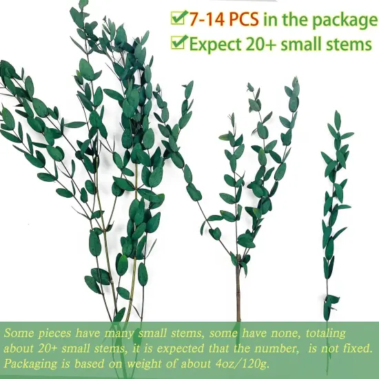 20+ Small Branches Dried Eucalyptus Preserved Greenery Stems, 7-14 Pcs 17'' 4oz Natural Real Eucalyptus Bundles for Shower, Green Leaves Plant for Arrangement, Wedding, Home, Office Decor {4}