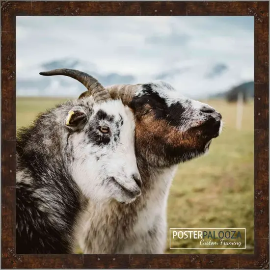 Slim Profile Brown Picture Frame - UV Acrylic, Foam Board Backing, Hanging Hardware {5}