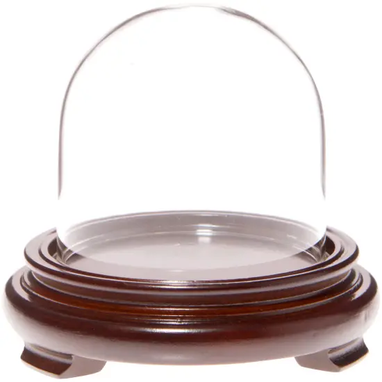 Plymor 3" x 3" Glass Display Dome Cloche Walnut Wood Veneer {1}