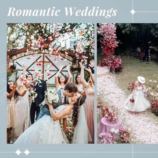 300pcs Artificial Flowers Silk Fake Pink Rose Petals Flower Girl Scatter Pedals for Aisle Centerpieces Table Confetti Party {2}