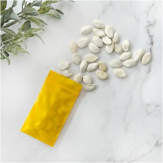 Plymor 2" x 3", Yellow 2 Mil Zipper Reclosable Plastic Bags {4}