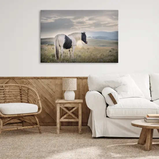 Stupell Industries Spotted Horse on Sunny Terrain Canvas By PHBurchett {2}