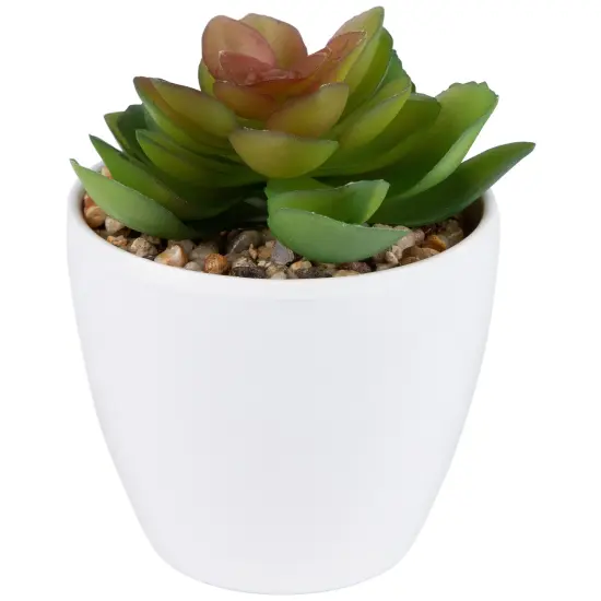 Northlight Mini White Potted Artificial Succulent Plant - 4" {5}