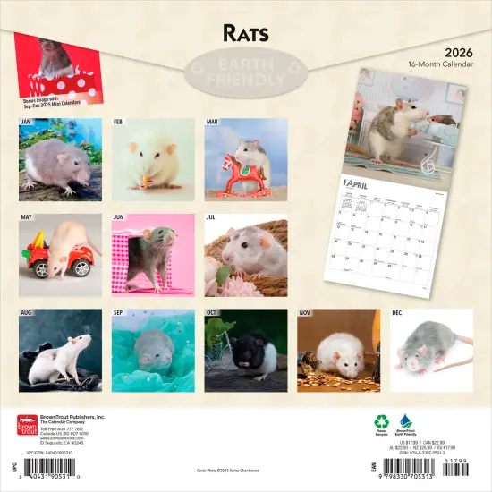 Rats | 2026 12 x 24 Inch (Hanging) Monthly Square Wall Calendar | Plastic-Free {2}