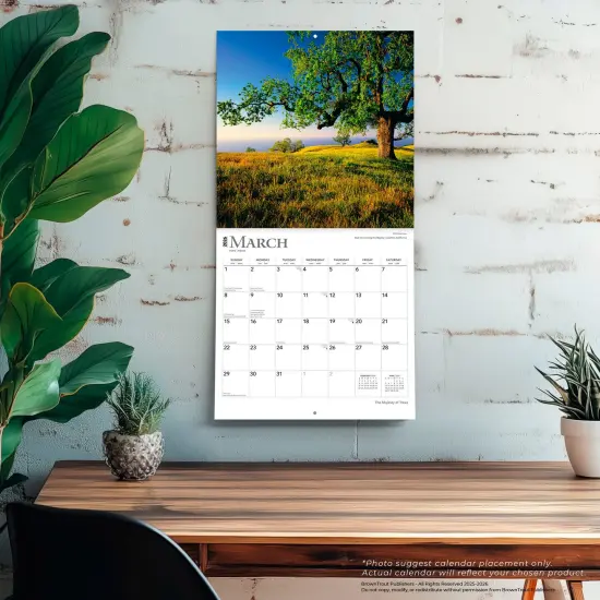 The Majesty of Trees | 2026 12 x 24 Inch (Hanging) Monthly Square Wall Calendar | Plastic-Free {5}