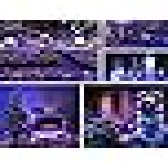 Solar Christmas Fairy Lights Outside {3}