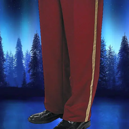 Prince Charming Deluxe Costume for Men with Regal Jacket and Medal Accessories {4}