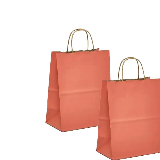 Kraft Shopping Bag Tinted and Spacious 5.5" x 3.25" x 8.375" {6}