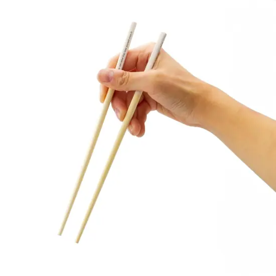 Fortune GAMAGO Cast Bamboo Chopsticks | Set of 4 {1}