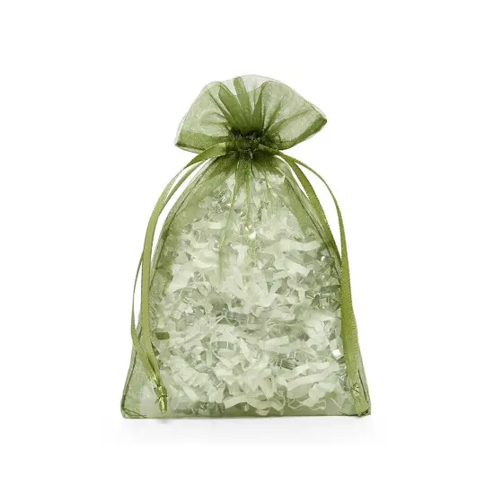 8&rdquo; x 12&rdquo; Organza Bags Perfect for Tiny Gift Wrap {6}