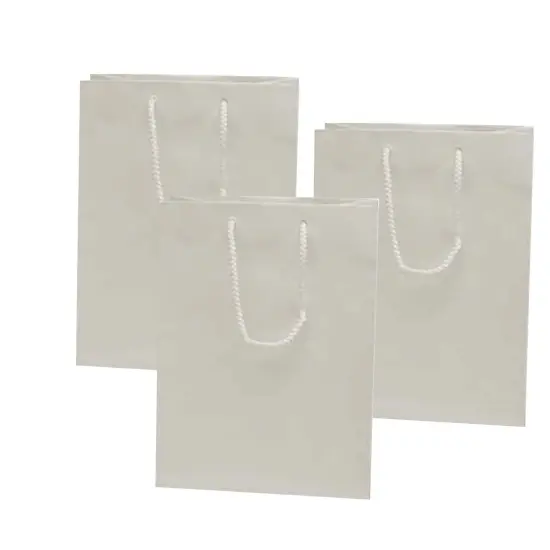 Compact and Glossy 9 3/4'' x 4 '' x 7 3/4'' Paper Euro Totes White {2}