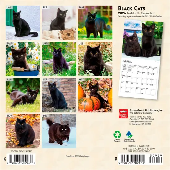 Black Cats | 2026 7 x 14 Inch (Hanging) Monthly Mini Wall Calendar {2}