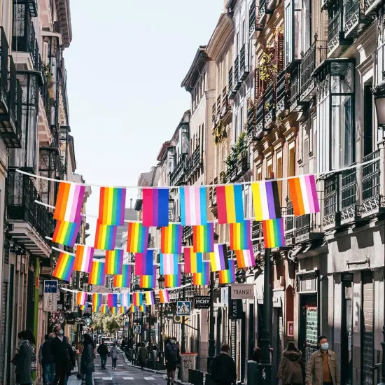 60 Rainbow Triangle Pride Flags, 66 Feet, 2 Sets, 5.5 x 8.3 Inches, LGBT Pride Occasion, Banner, Pennant {4}