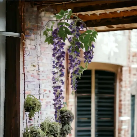 Hanging Wisteria Branch Spray - 70"-3 PACK {4}