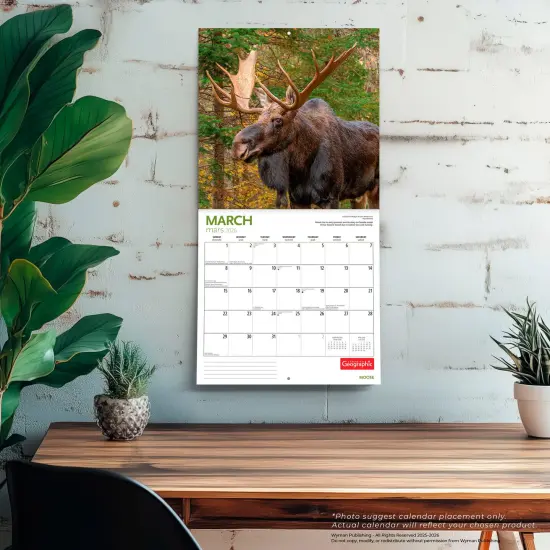 Canadian Geographic Moose OFFICIAL | 2026 12 x 24 Inch (Hanging) Monthly Square Wall Calendar {5}