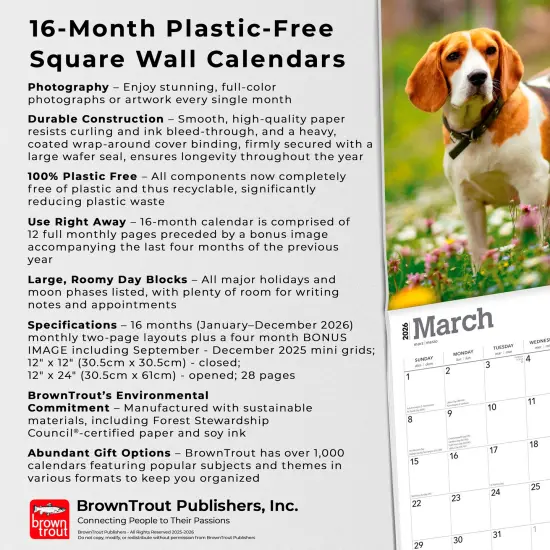 Beagles | 2026 12 x 24 Inch (Hanging) Monthly Square Wall Calendar | Plastic-Free {6}