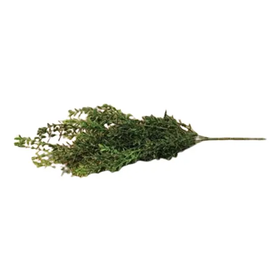 19" Green New England Boxwood Bush with Plastic Stem Suitable for Any Decor {1}