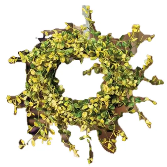 Bog Pimpernel Ring 4.5" In/14" Out {1}