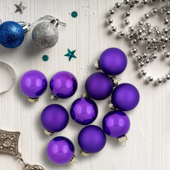 Northlight Shiny and Matte Purple Glass Ball Christmas Ornaments - 1.5" (40mm) - Purple - 10ct {1}