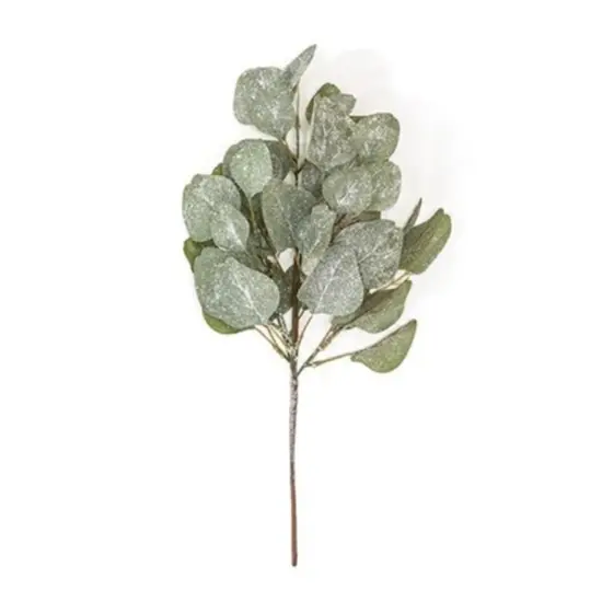 Frosted Dollar Eucalyptus Leaf Spray 19" {1}