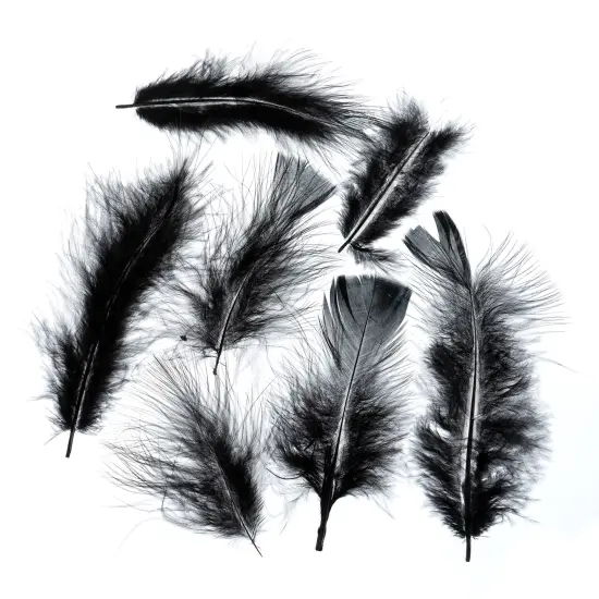 John Bead 4-6in Marabou Feathers (3 Headers, 18g) Black {2}